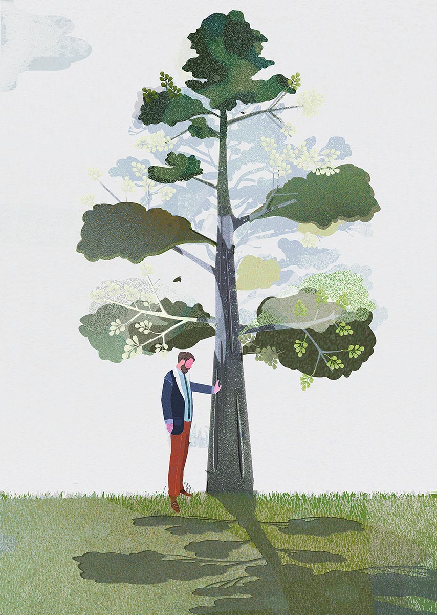 © Katarzyna Surman-Pusz | „A tree for troubles” by Cheryl Johnson | Ilustracja do książki | Stany Zjednoczone | 2015