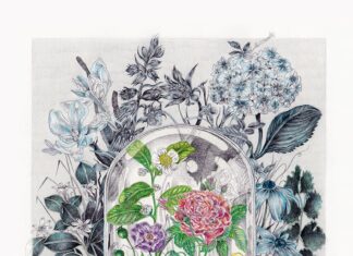 Bartłomiej Kociemba – TBPI Press © Bartłomiej Kociemba