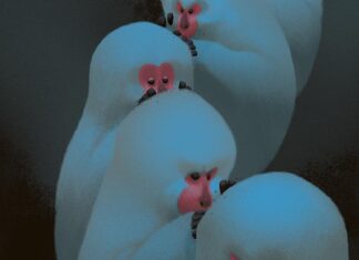 Szymon Biernacki – TBPI Concept Art © Szymon Biernacki